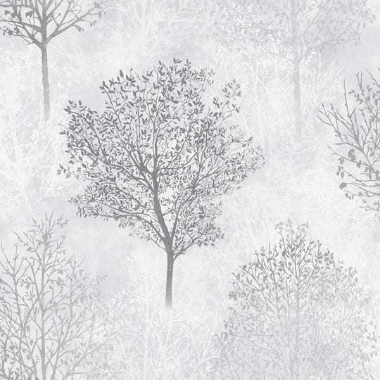 Wonderland Silver